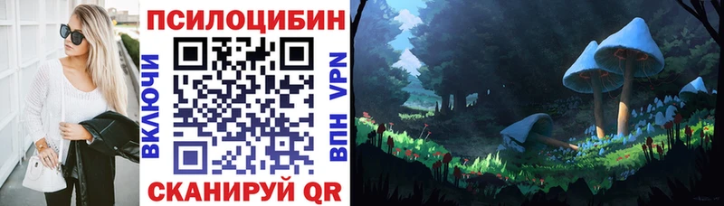 shop состав Фролово Псилоцибиновые грибы мухоморы